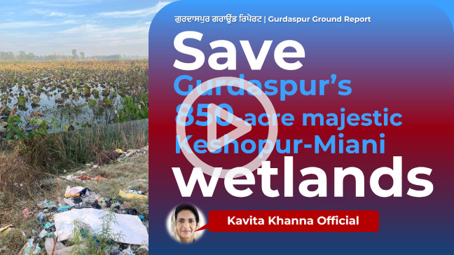 Kavita Khanna’s plea to save Gurdaspur’s majestic Keshopur-Miani wetlands